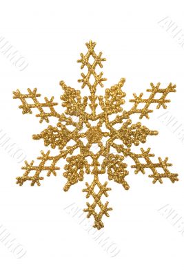 Snow Flake