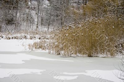 Winter lake shore view