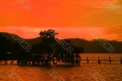 orange sunset 2