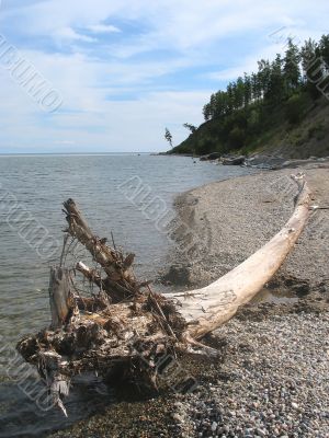 silent beach