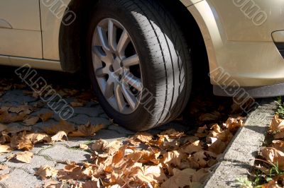 Wheel