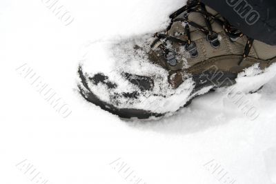 Boot