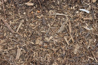 Ground