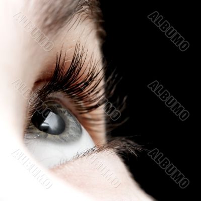 Eye