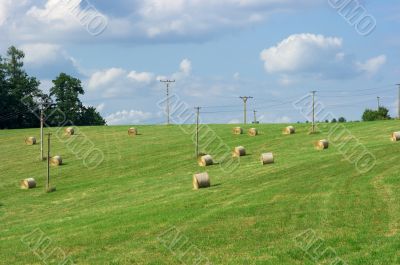 Field