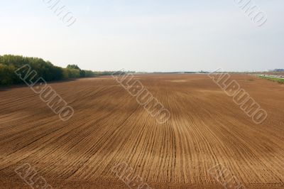 Field