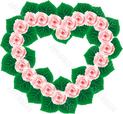 ROSE HEART