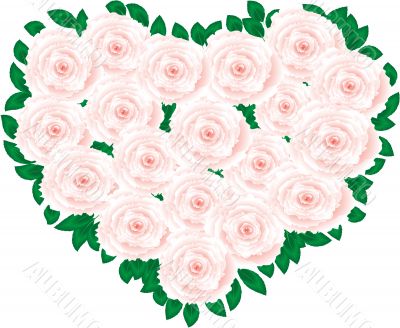 ROSE HEART