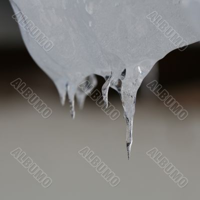 Icicles