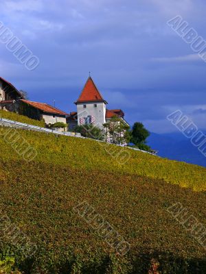 Vineyards of Lavaux, Switzerland