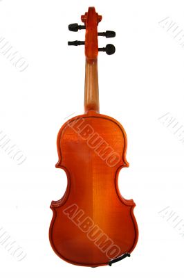 violin