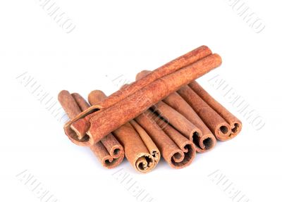 Cinnamon sticks isolated