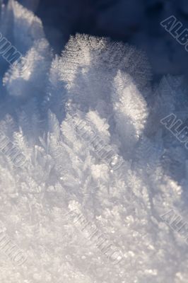 Hoarfrost close up