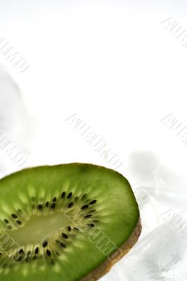 Kiwi isolated in White