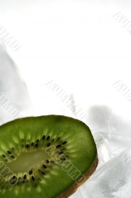 Kiwi isolated in White