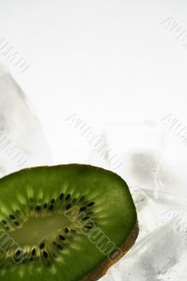 Kiwi isolated in White