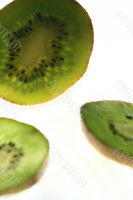 Kiwi isolated in White