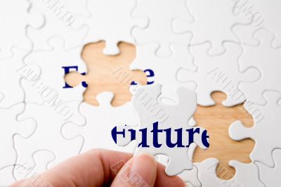 Future Puzzle