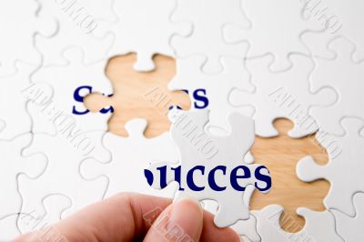 Success Puzzle