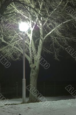 streetlamp