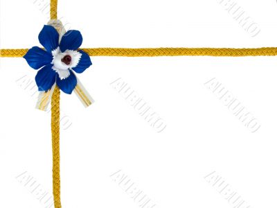 blue bow