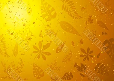 amber set