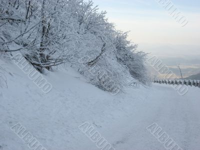 Winter