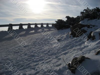 Winter