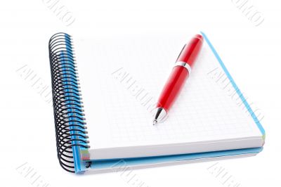 Blank notebook sheet with pen