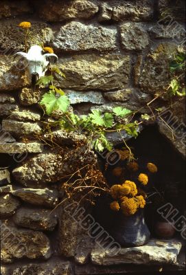 Old stoned wall
