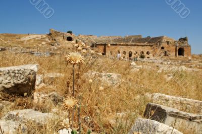 ancient debris
