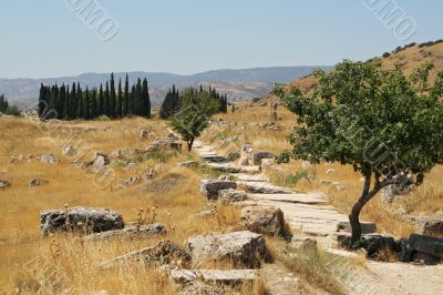 road to necropolis