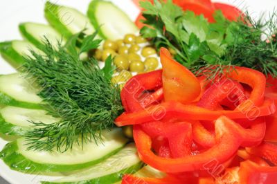 Dish of fresh vegetables