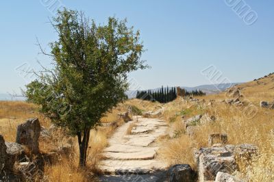 road to necropolis