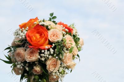 bunch of pink roses