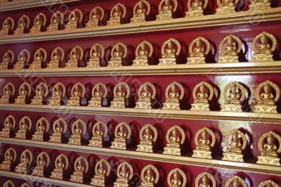 Rows of buddhas