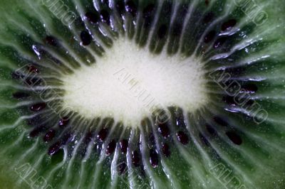 Kiwi isolated in White