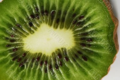 Kiwi isolated in White