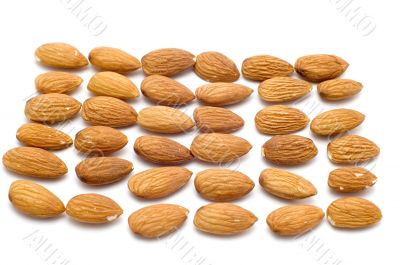 almond on white
