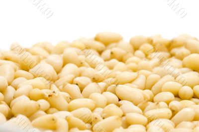 cedar nuts macro