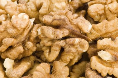 walnut