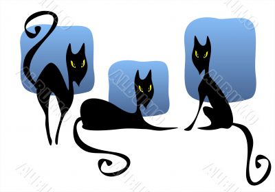 Three black cats