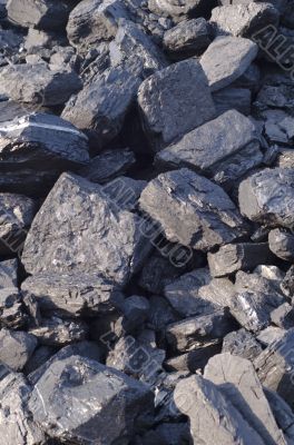the coal