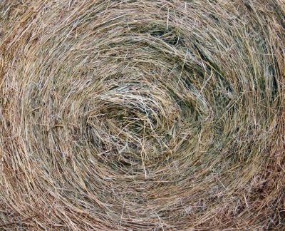 Straw