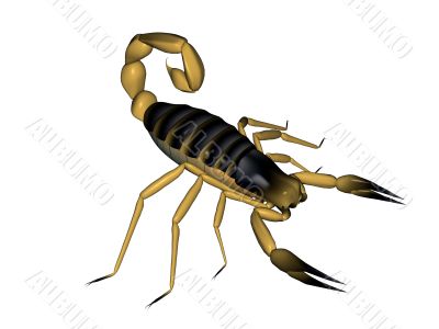 Scorpion