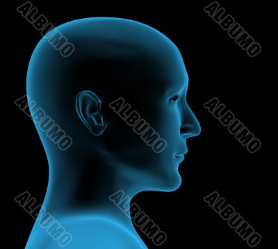 Transparent head of the person - x-ray