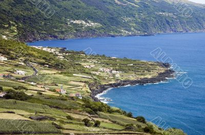 Shoreline of Pico Island