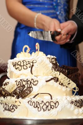  cutting cake