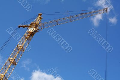 crane