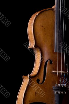 violin